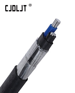 3 Core Aluminum Concentric Cable